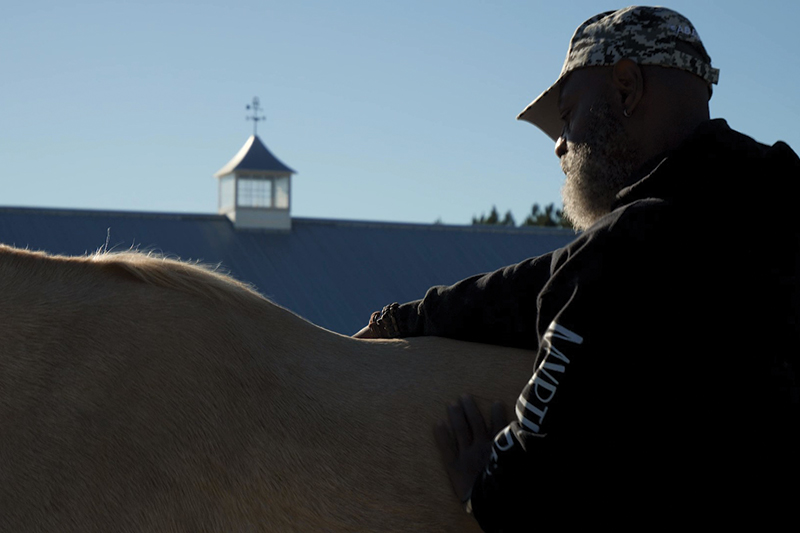 veteran connecting with a horse during therapy