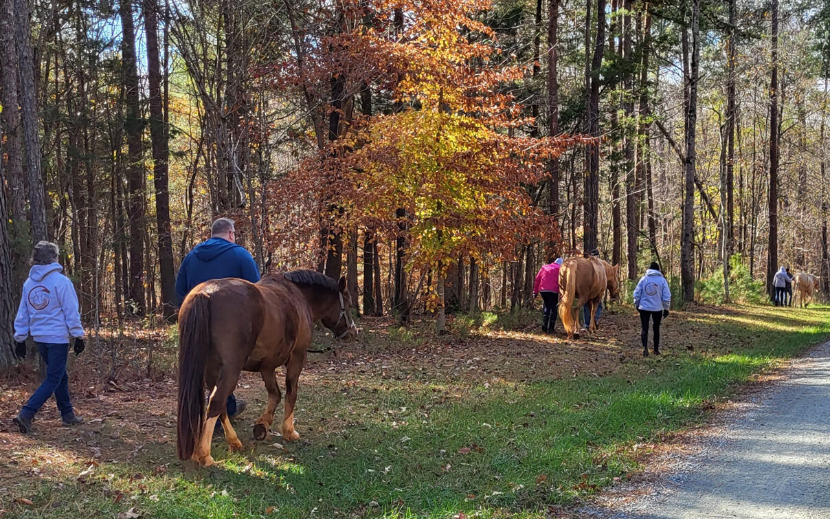 veterans on a trail with horses