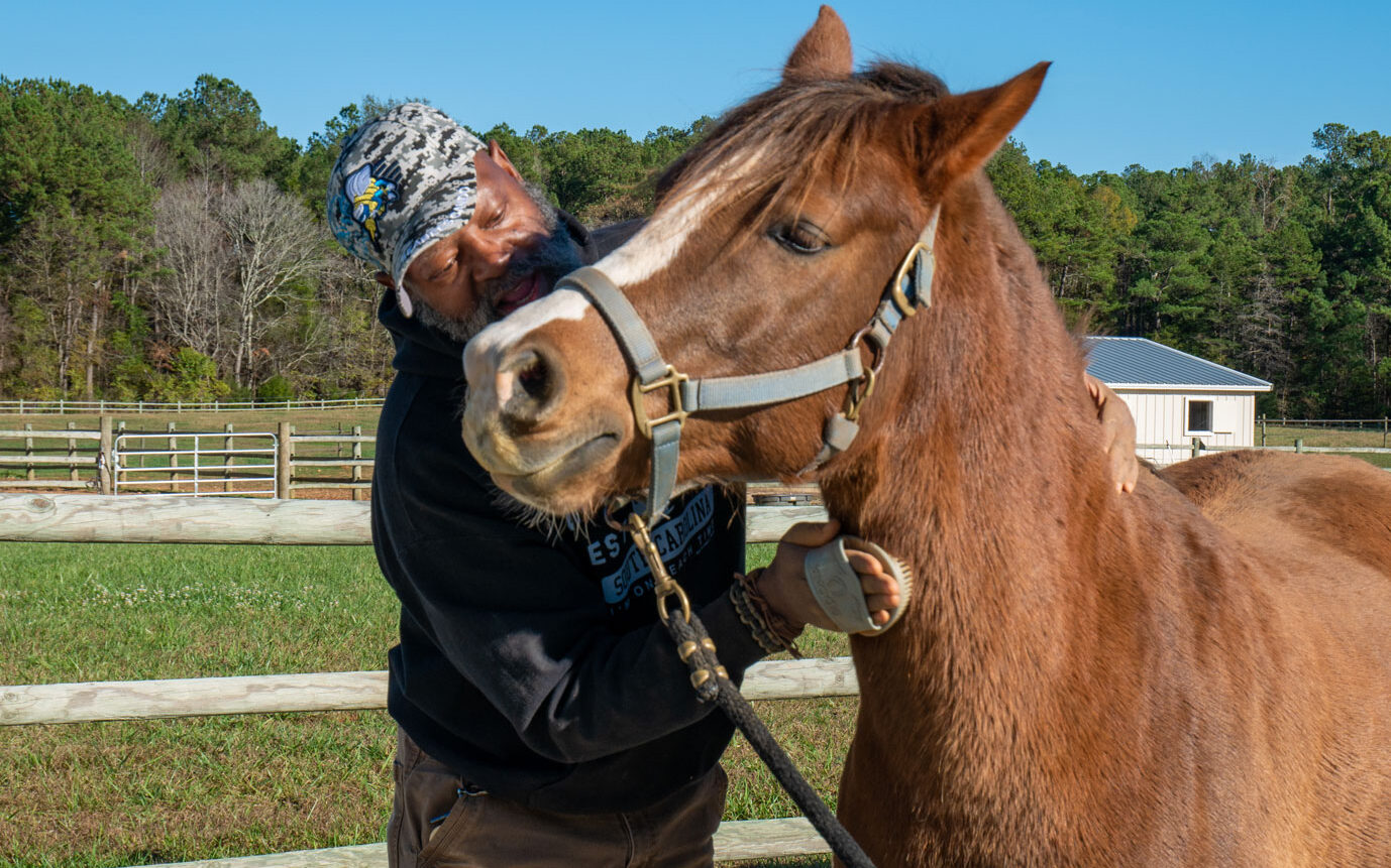 veteran grooming an appreciative horse