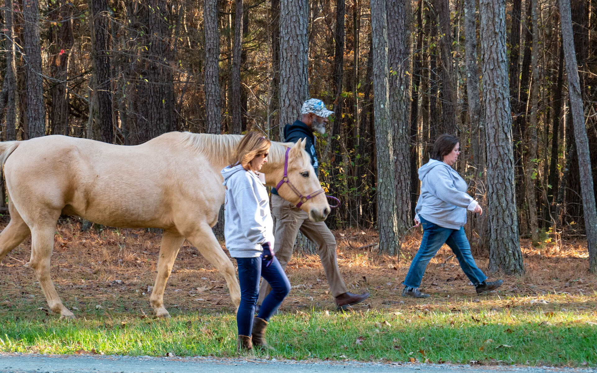 veteran, volunteers, and horse walking in the woods