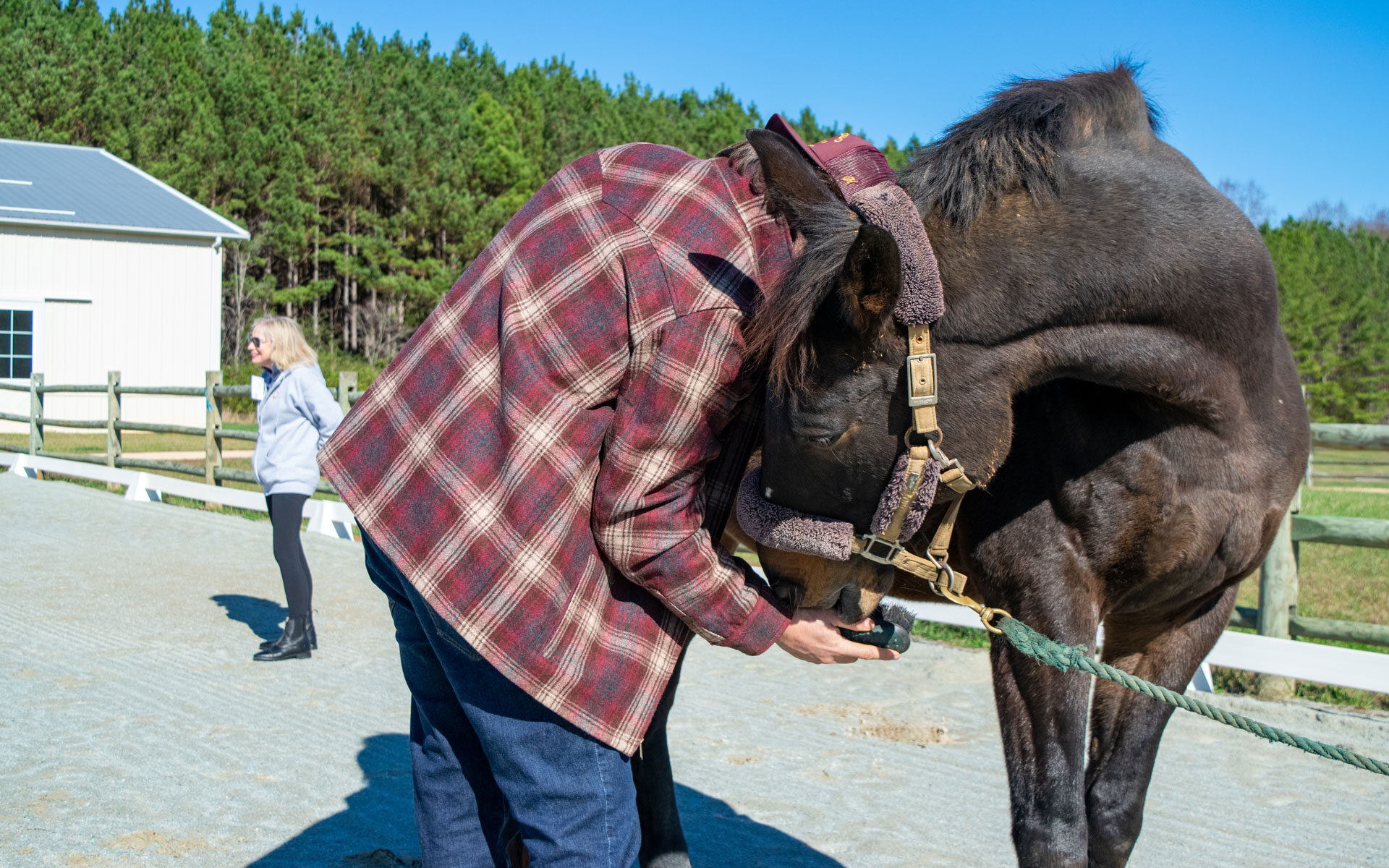 Marine veteran connecting with a therapeutic horse
