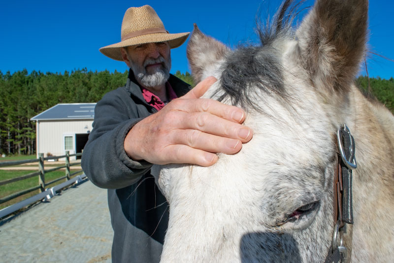 veteran petting head of horse