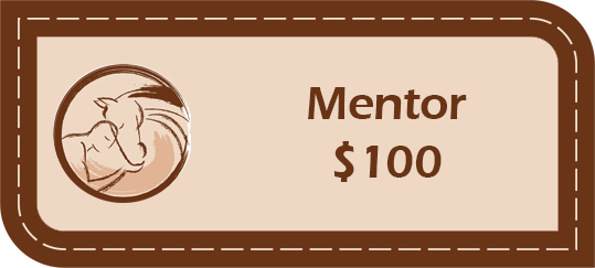 donor- mentor